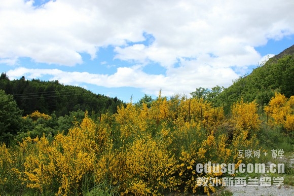 新西蘭酒店管理碩士