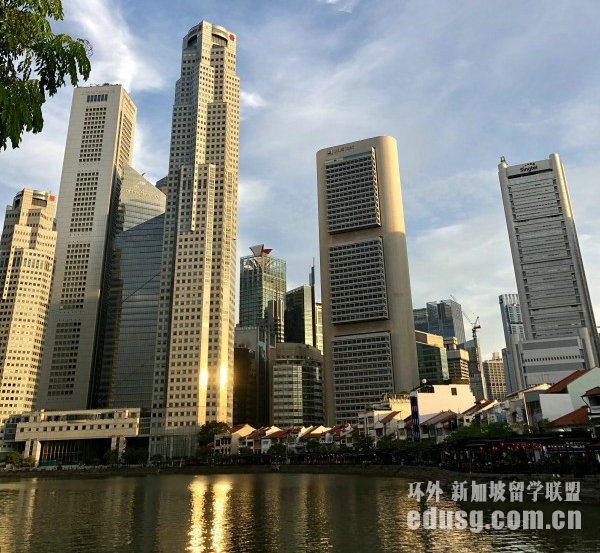 新加坡新躍大學