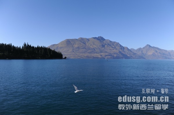 mW(xu)УD(zhun)I(y)