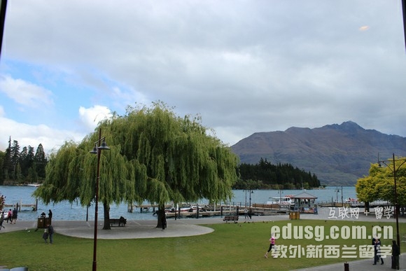 怎么樣到新西蘭留學