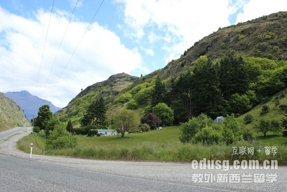 去新西蘭讀商科要多少錢