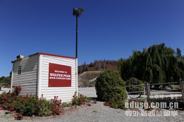 新西蘭理工院校哪個最好