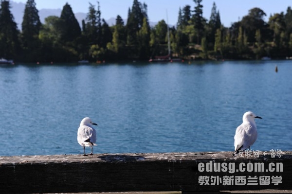 新西蘭大學(xué)有哪些好的專業(yè)