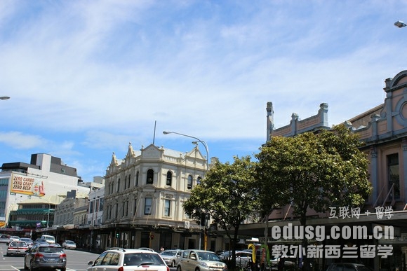 新西蘭學前教育碩士申請