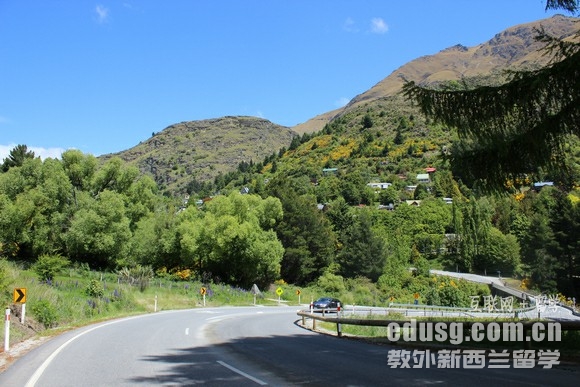 新西蘭留學商科費用