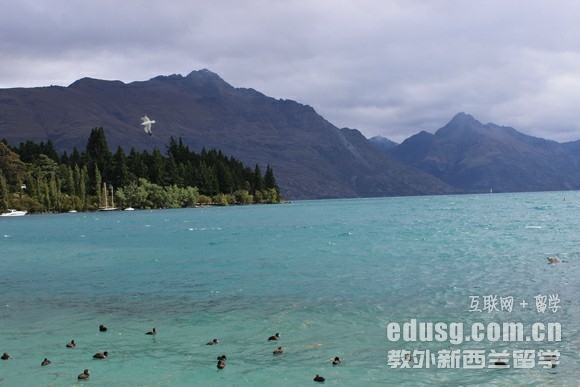 新西蘭留學商科費用