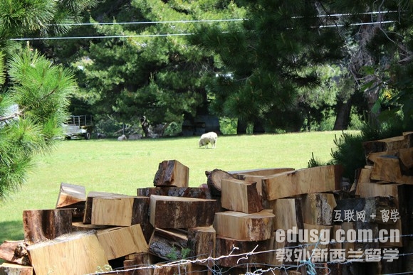 新西蘭讀碩士幾年制