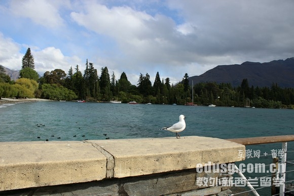 高一讀新西蘭預(yù)科