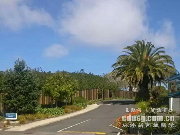 在新西蘭留學費用多少一年