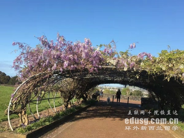 在新西蘭留學費用多少一年