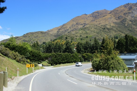 2020最新新西蘭大學排名