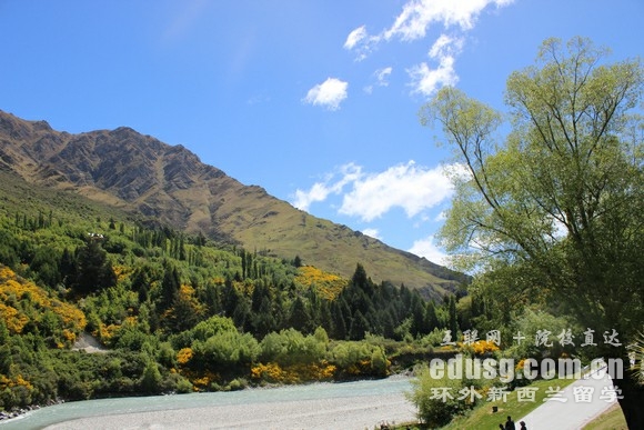 新西蘭mis專業排名