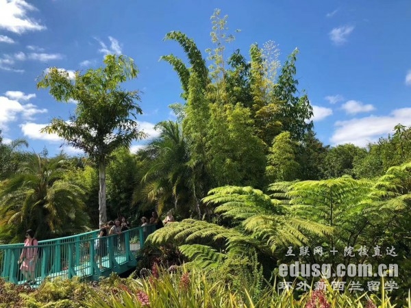 新西蘭好的高中學校