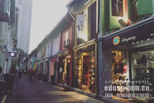 新加坡藝術(shù)碩士申請條件