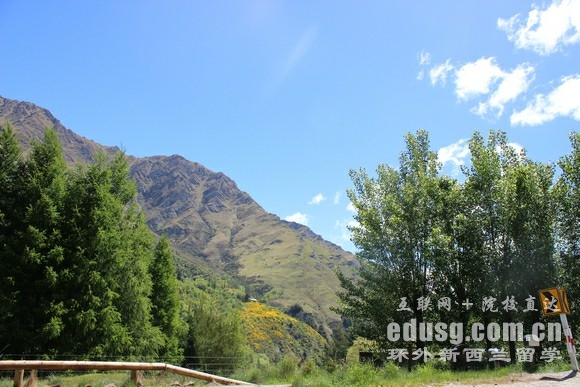 新西蘭商科碩士就業率