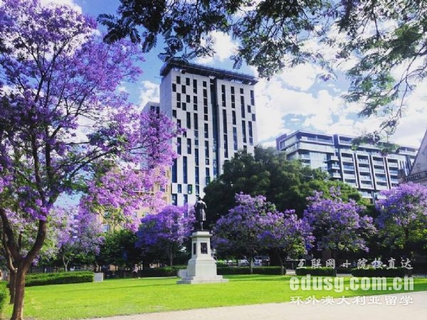 阿德萊德大學專業設置