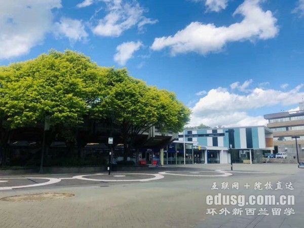 梅西大學新西蘭排名