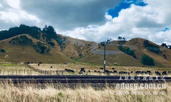 新西蘭兩年研究生費用