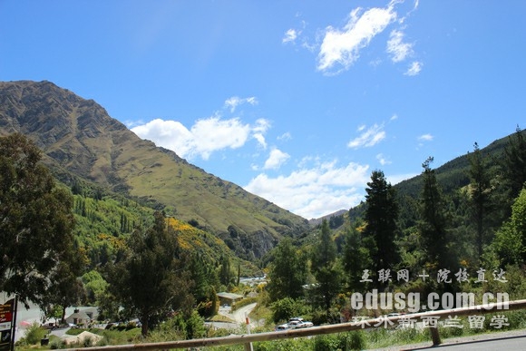 新西蘭有什么好大學