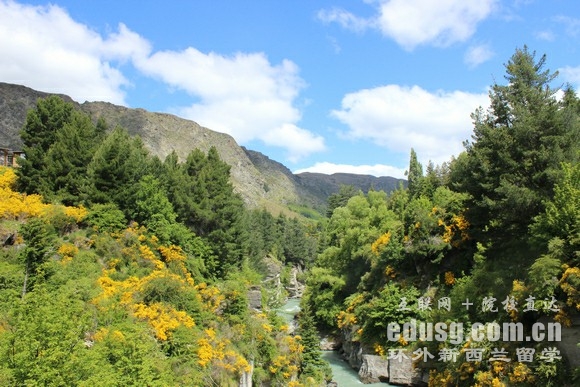 新西蘭留學(xué)一年的費(fèi)用