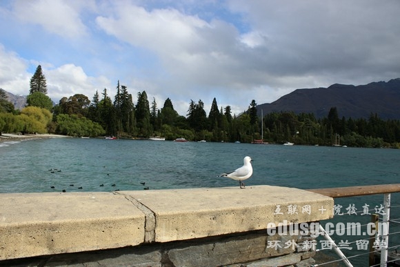新西蘭大學牙醫專業雅思要求