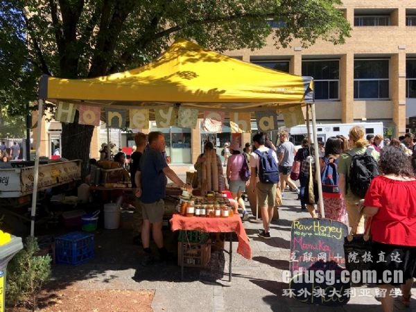 申請墨爾本大學預科