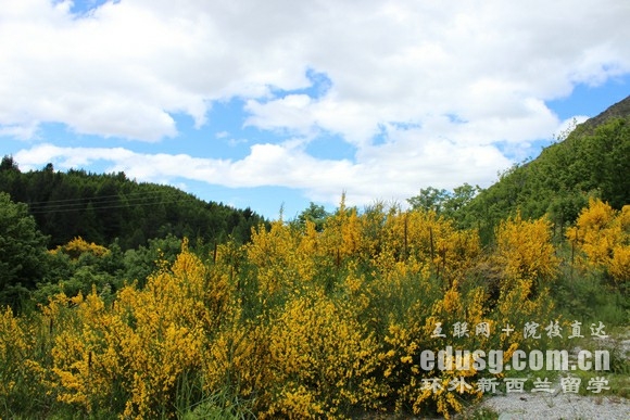 新西蘭的理工學(xué)院是正規(guī)大學(xué)嗎