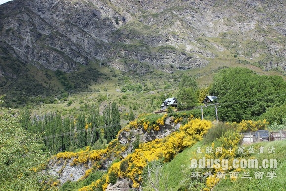 新西蘭碩士留學一年費用貴嗎