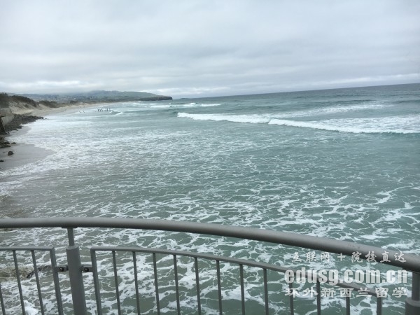 新西蘭傳媒大學