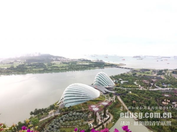 去新加坡讀o水準要什么條件