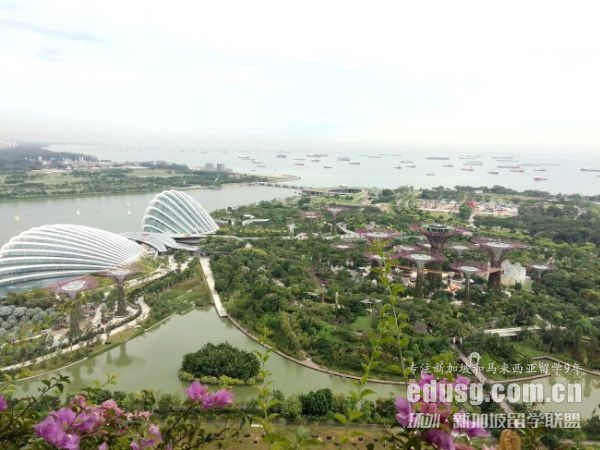 新加坡a水準考試內容