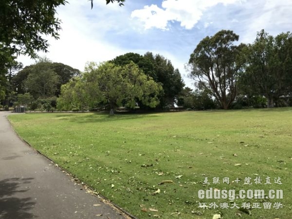 澳洲留學本科回國就業