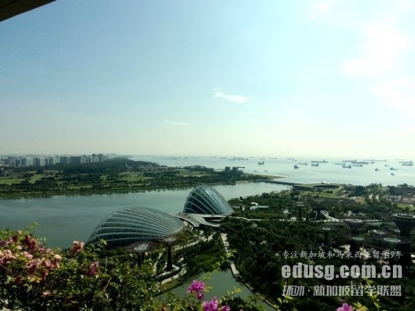 新加坡南洋理工大學是本科嗎