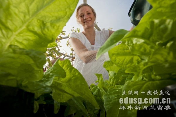 懷阿里奇理工學院碩士