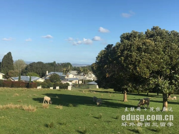 新西蘭留學需要準備什么東西
