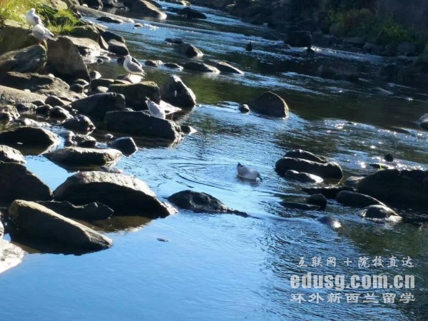 新西蘭讀研如何