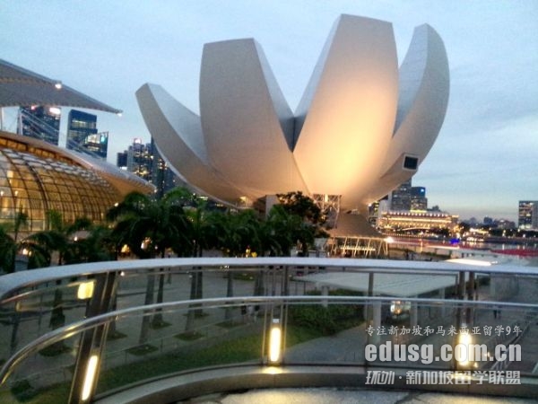 新加坡國立大學簡介