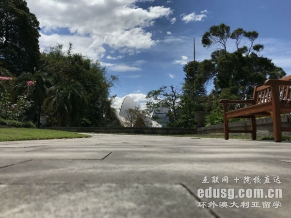 ĴW(xu)Ҫʲô