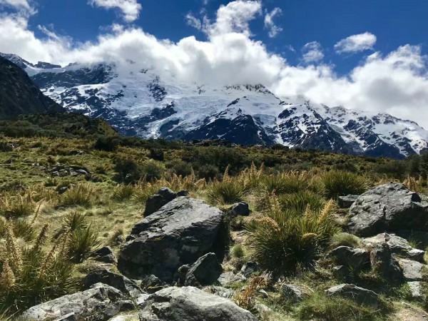新西蘭讀語言一年費用