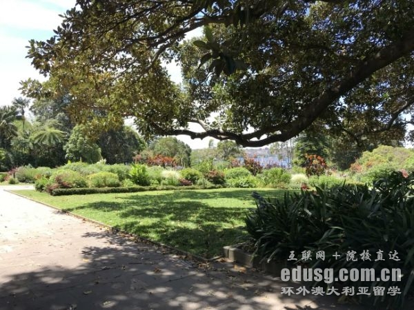 澳洲大學(xué)移民專業(yè)有哪些