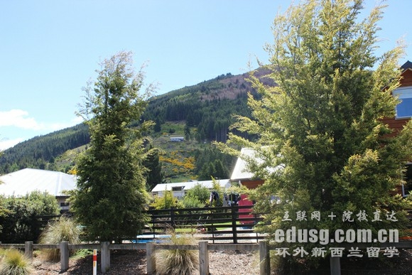 新西蘭南方理工學院語言申請條件