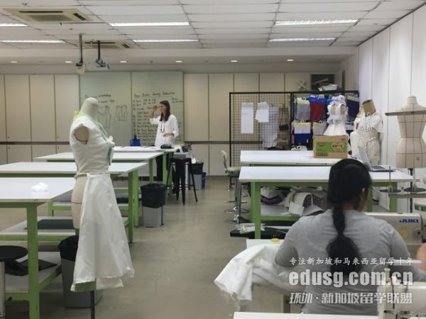新加坡MDIS有哪些專業(yè)