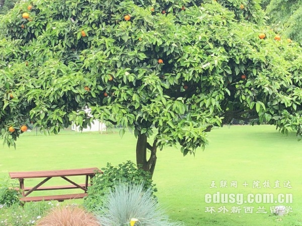 新西蘭奧克蘭大學藝術博士