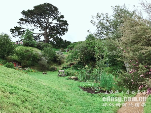 新西蘭梅西大學碩士費用