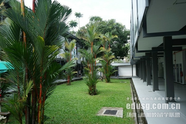 新加坡科廷大學(xué)入學(xué)要求
