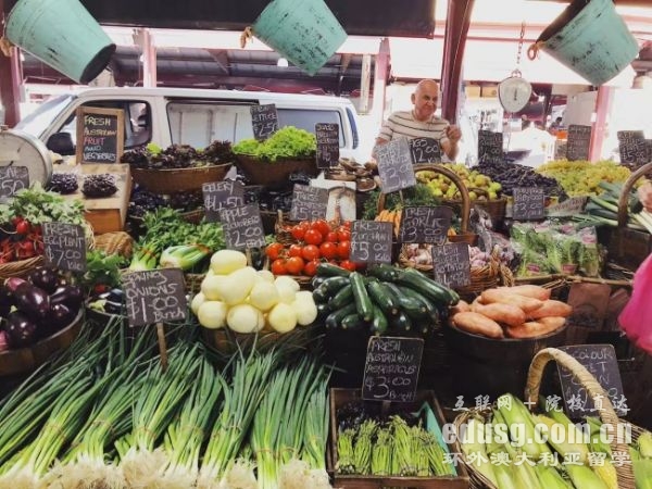 澳大利亞幼教留學專業(yè)