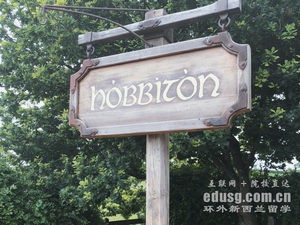 梅西大學什么專業好