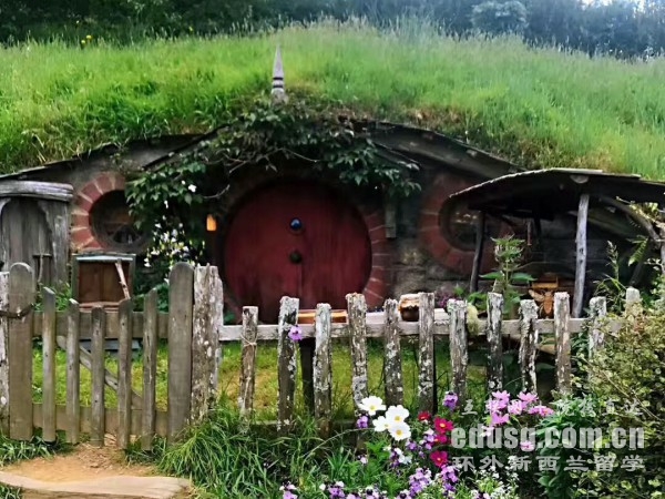 坎特伯雷大學優勢專業