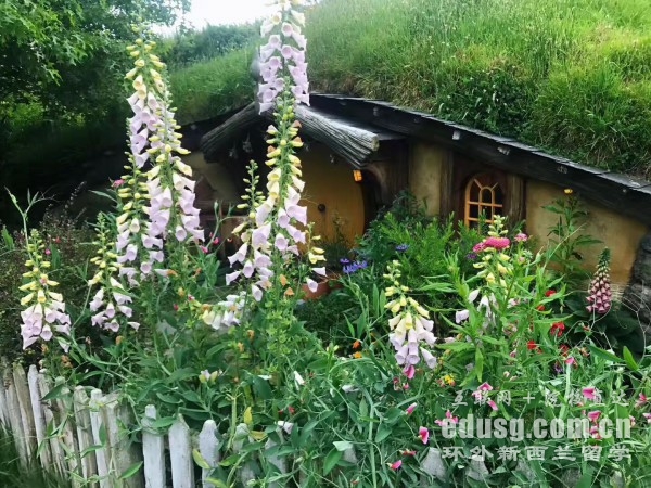 新西蘭梅西大學營養學專業