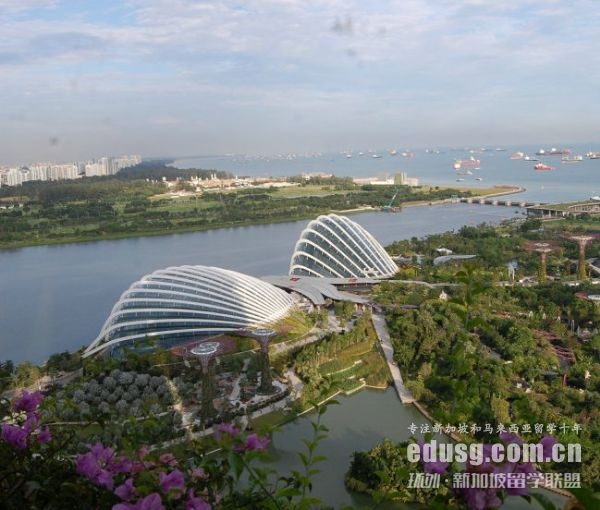 新加坡初級學院幾年